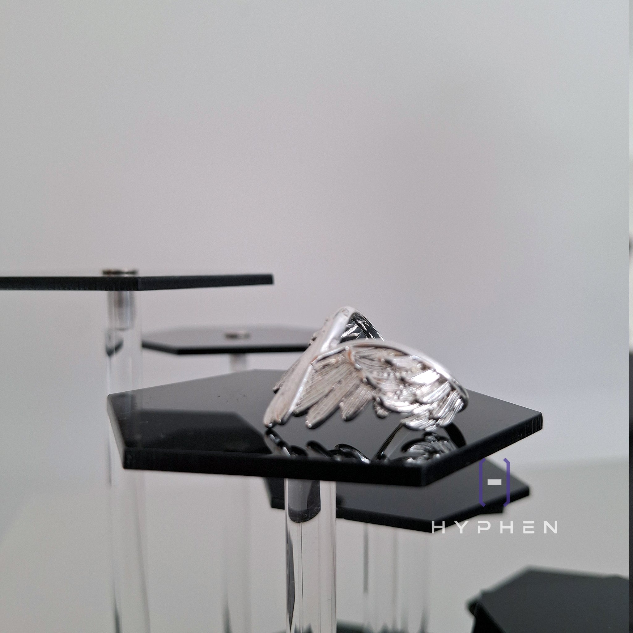The Guardian Ring